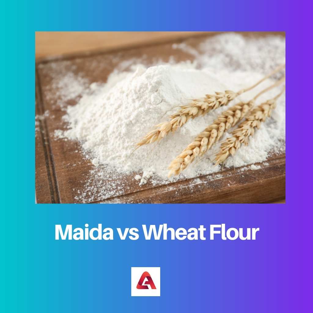 Maida vs Wheat Flour