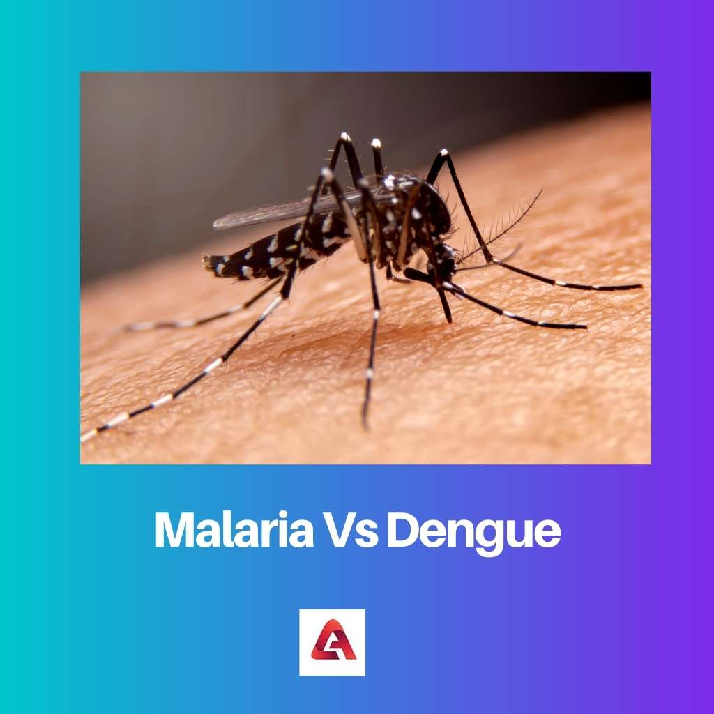 Malaria Vs Dengue