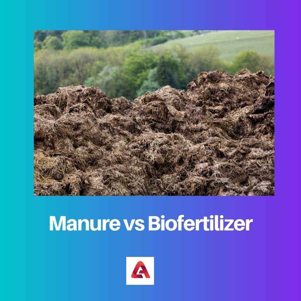Manure vs Biofertilizer
