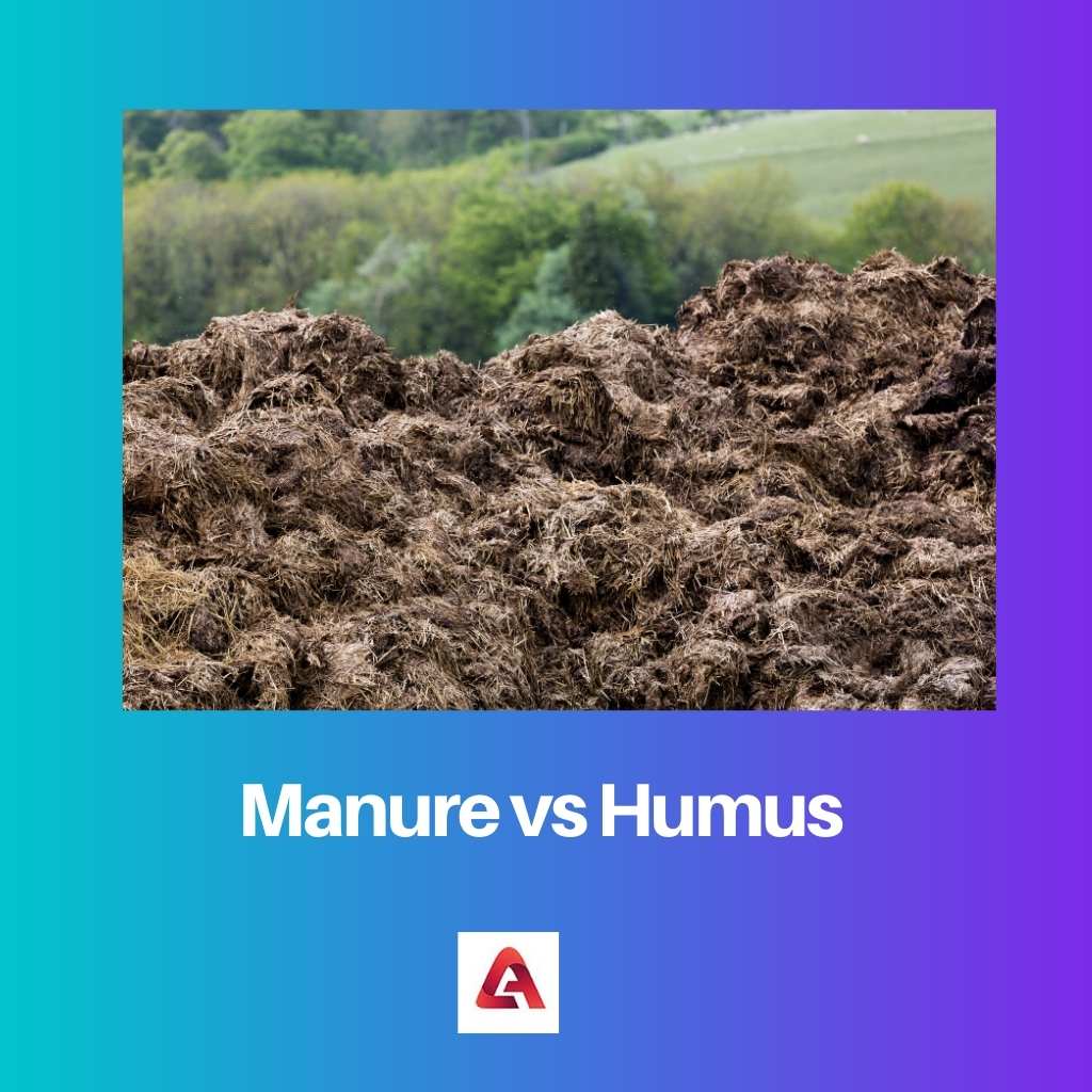 Difference Between Manure and Humus