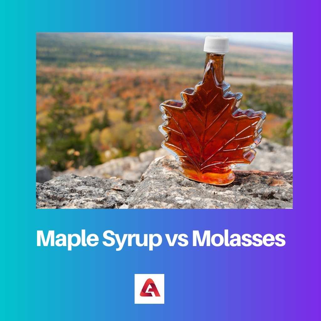 Maple Syrup vs Molasses