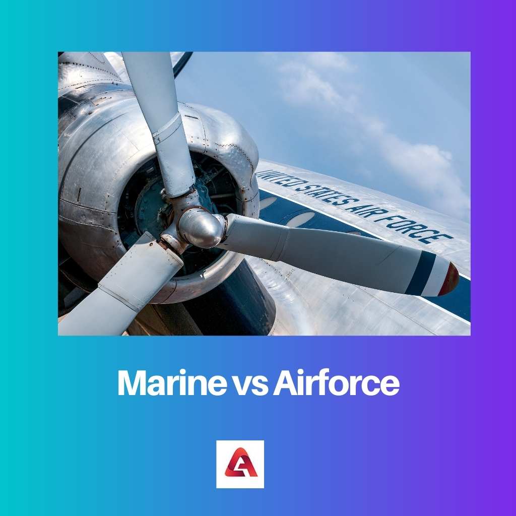 Marine vs Airforce