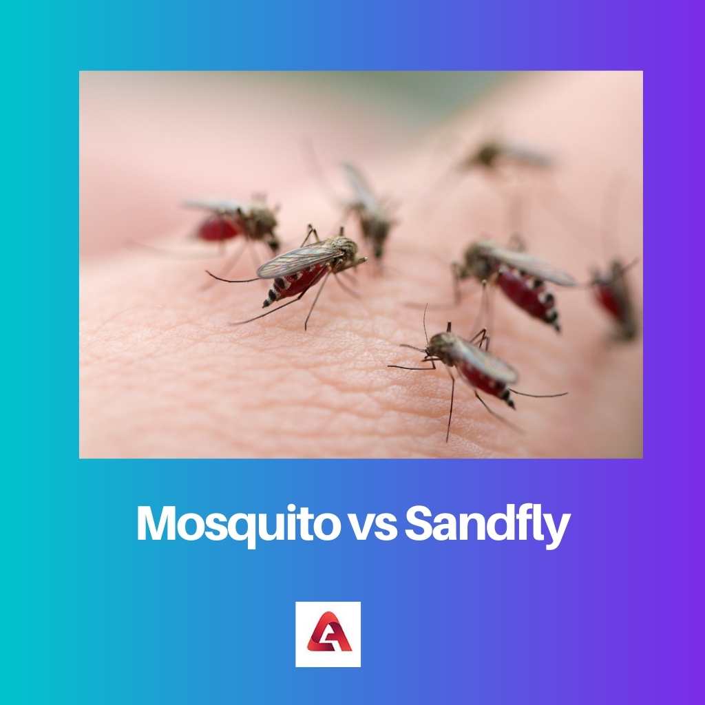 Mosquito vs Sandfly