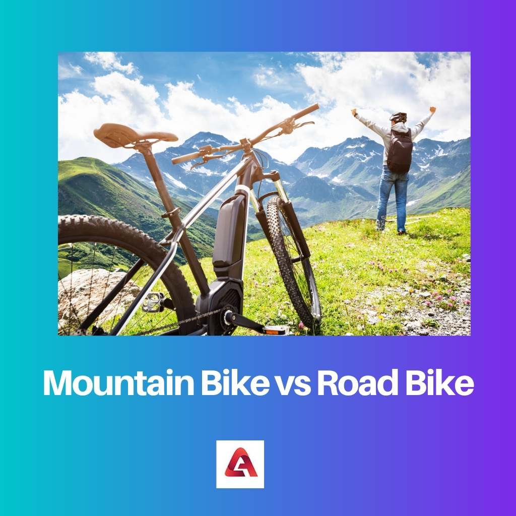 Mountain Bike vs Road Bike