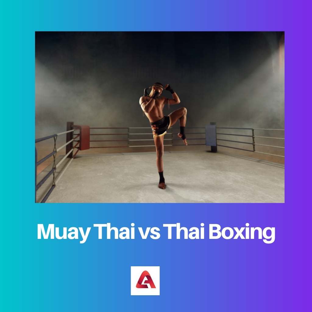 Muay Thai vs Thai