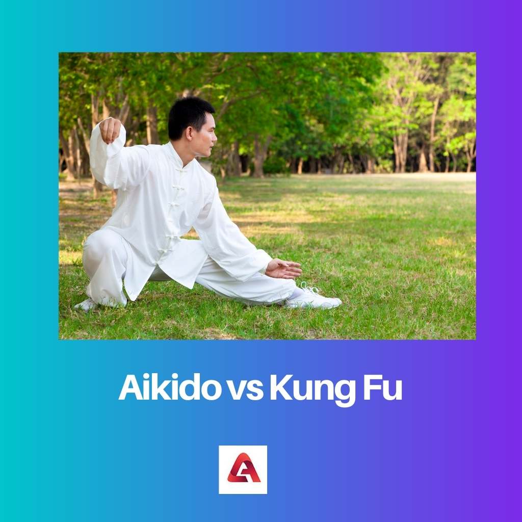 Netbook Aikido vs Kung Fuvs iPhone