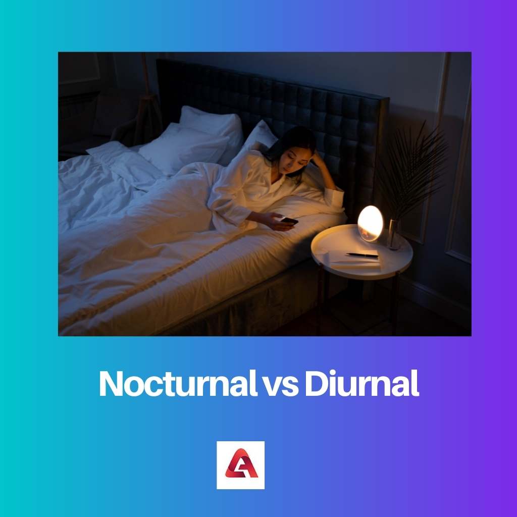 Nocturnal vs Diurnal