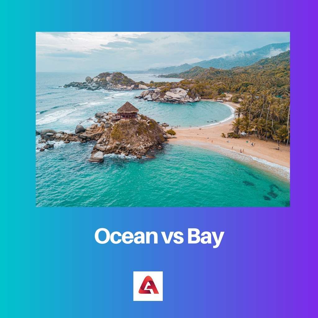 Ocean vs Bay