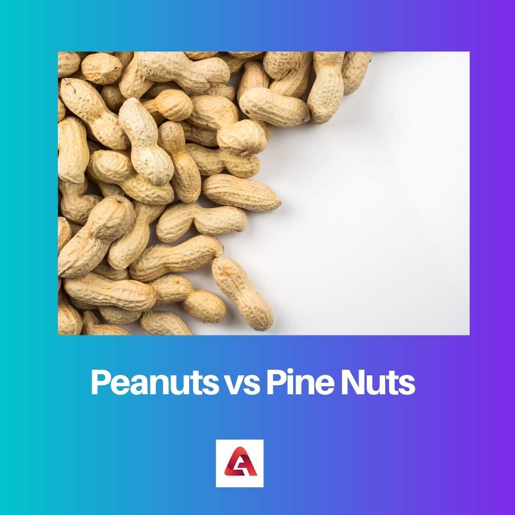 Peanuts vs Pine Nuts