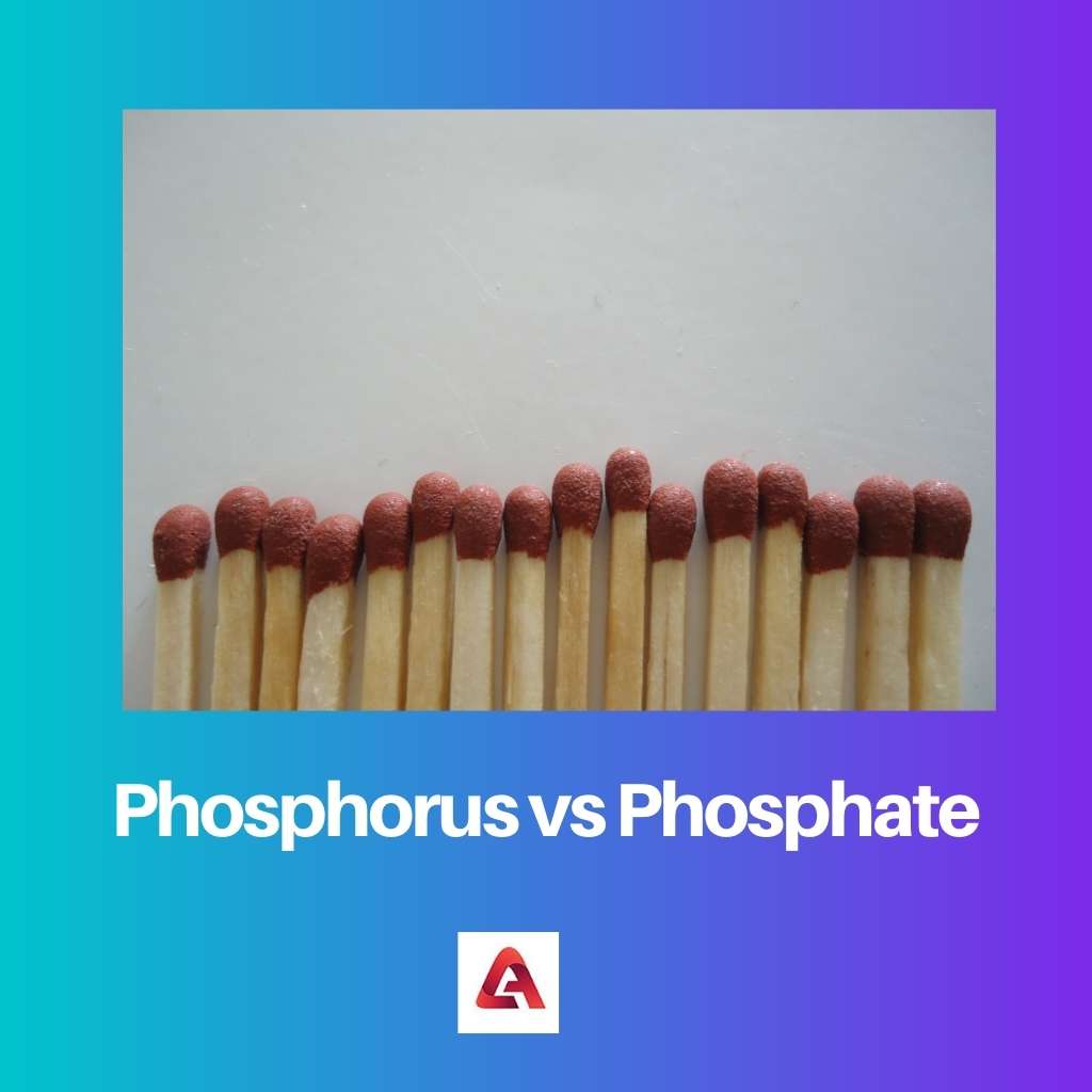 Phosphorus vs Phosphate