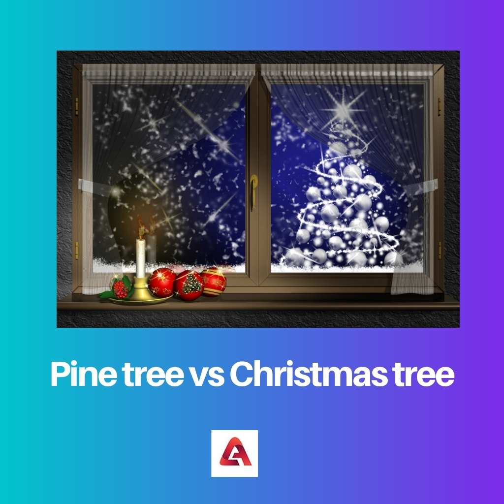Pine tree vs Christmas tree