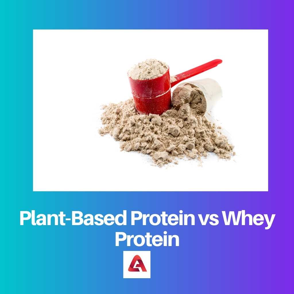 Plant Based Protein vs Whey Protein