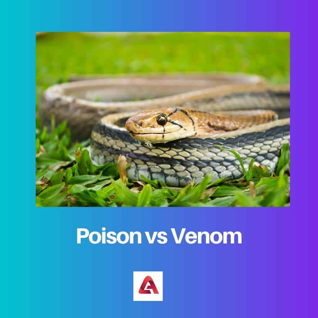 Poison Vs Venom: Difference And Comparison