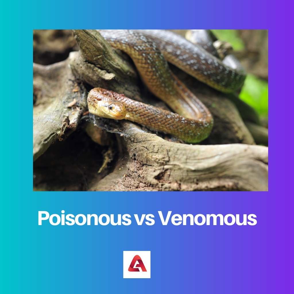 Poisonous vs Venomous