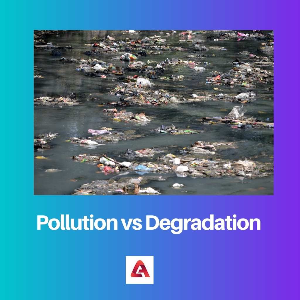 Pollution vs Degradation