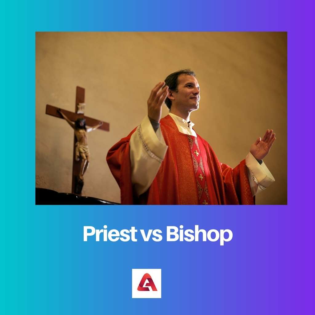 Priest vs Bishop