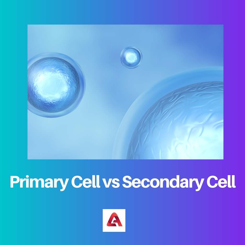 Primary Cell vs Secondary Cell