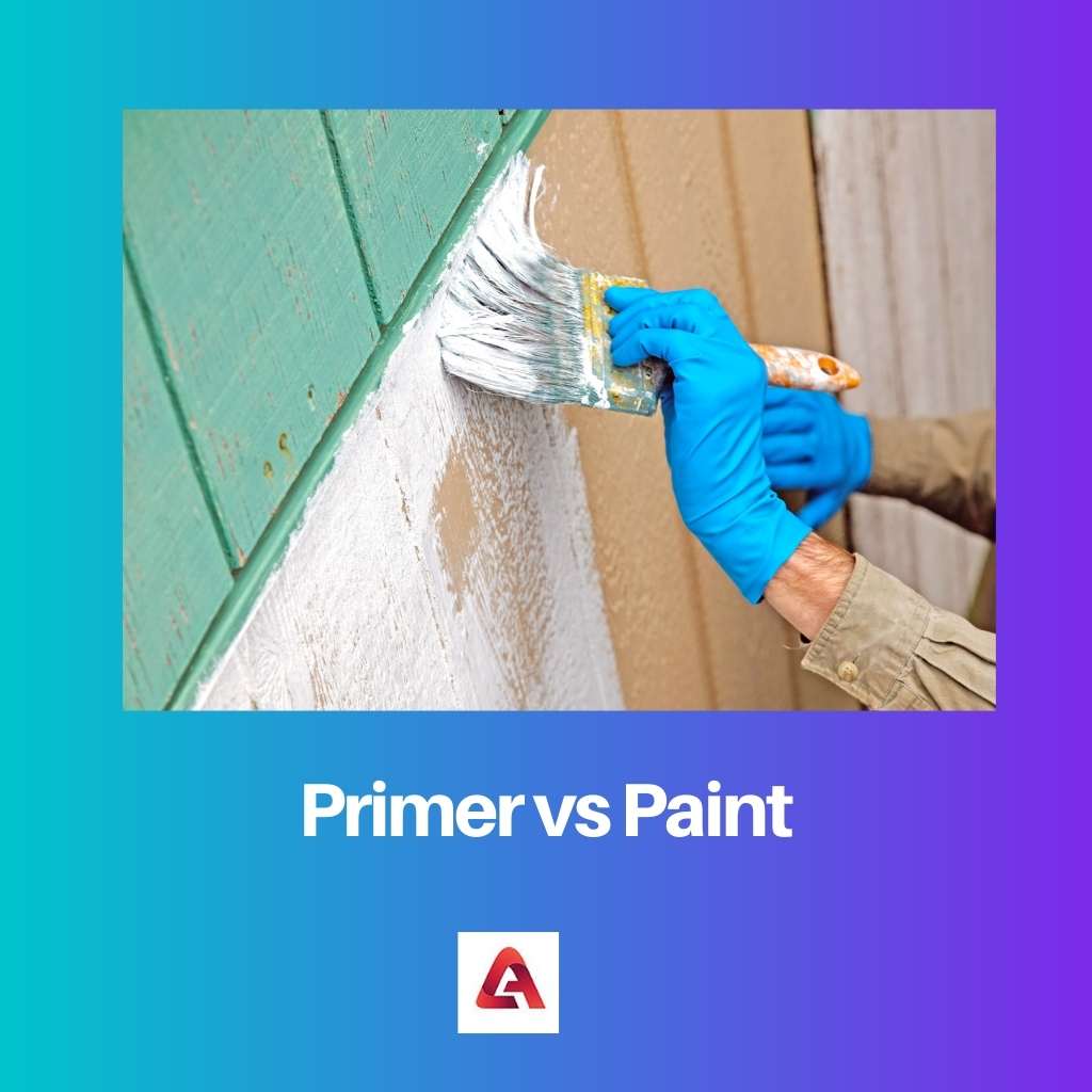 Primer vs Paint