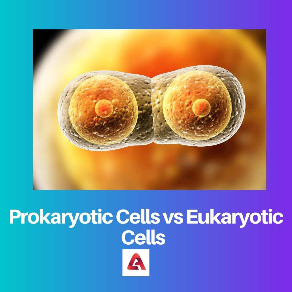 Prokaryotic Cells vs Eukaryotic Cells