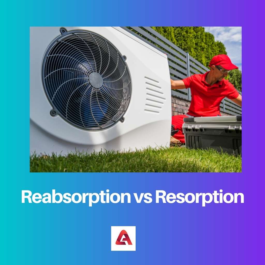 Reabsorption vs Resorption