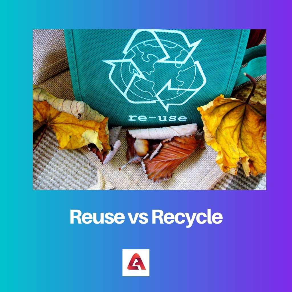 Reuse vs Recycle