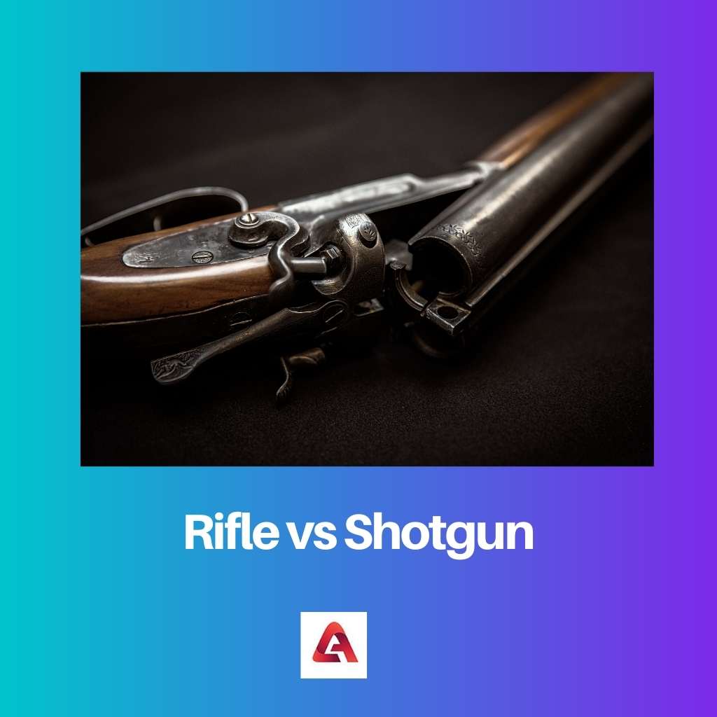 Rifle vs Shotgun