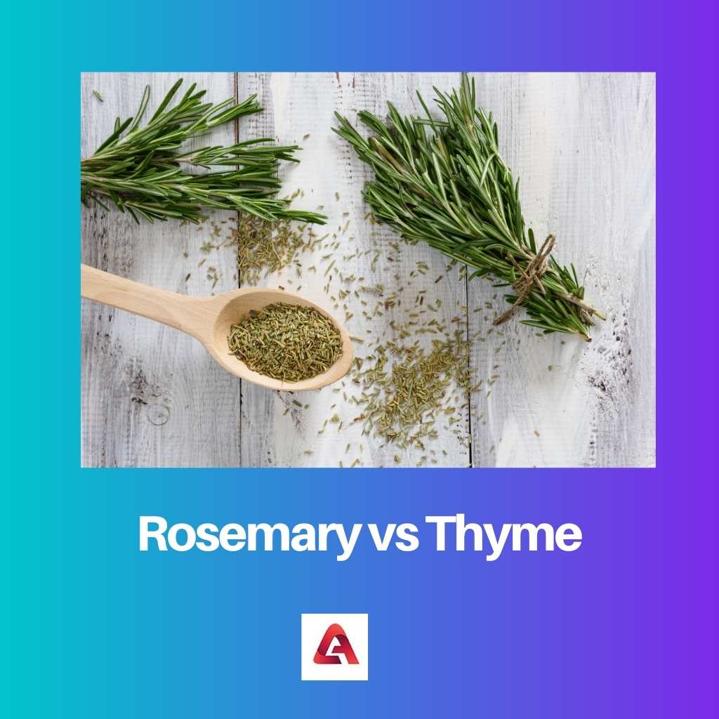 Rosemary vs Thyme 1