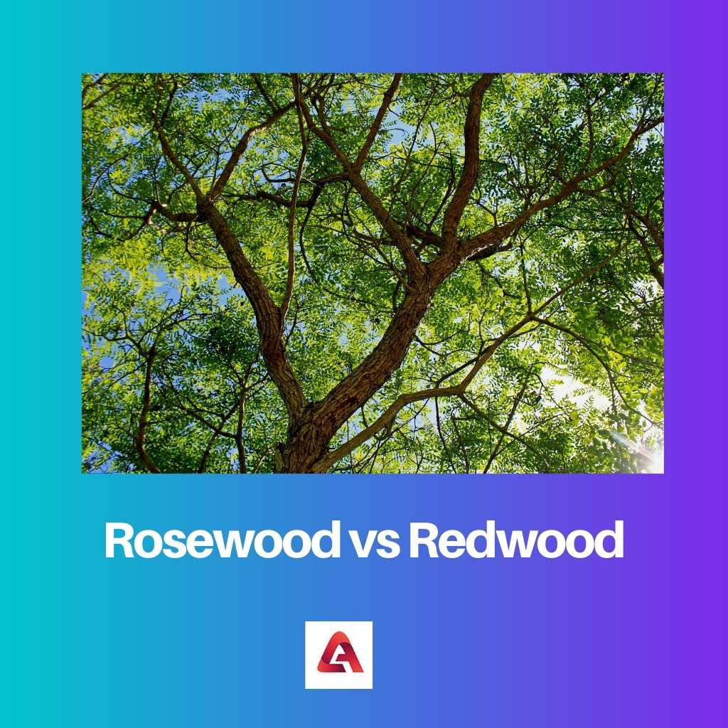 Rosewood vs Redwood