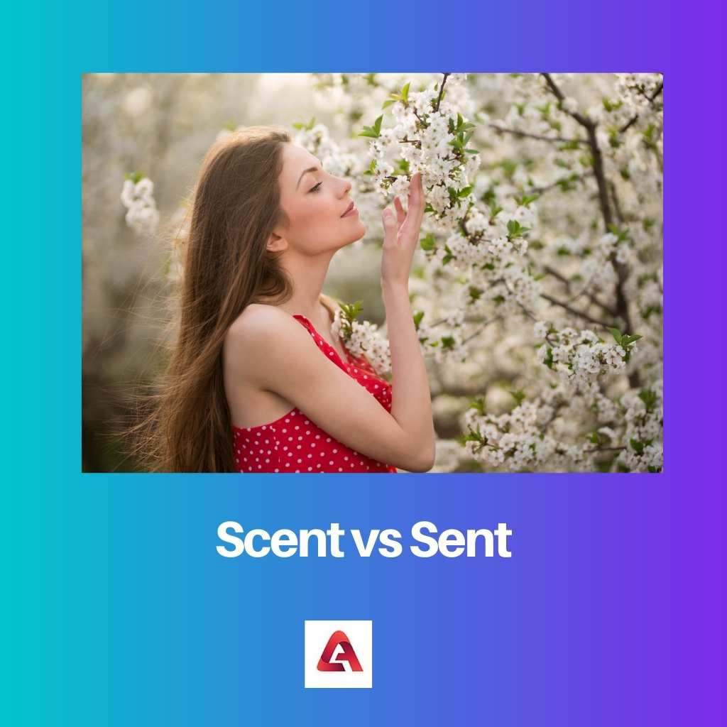 Scent vs Sent