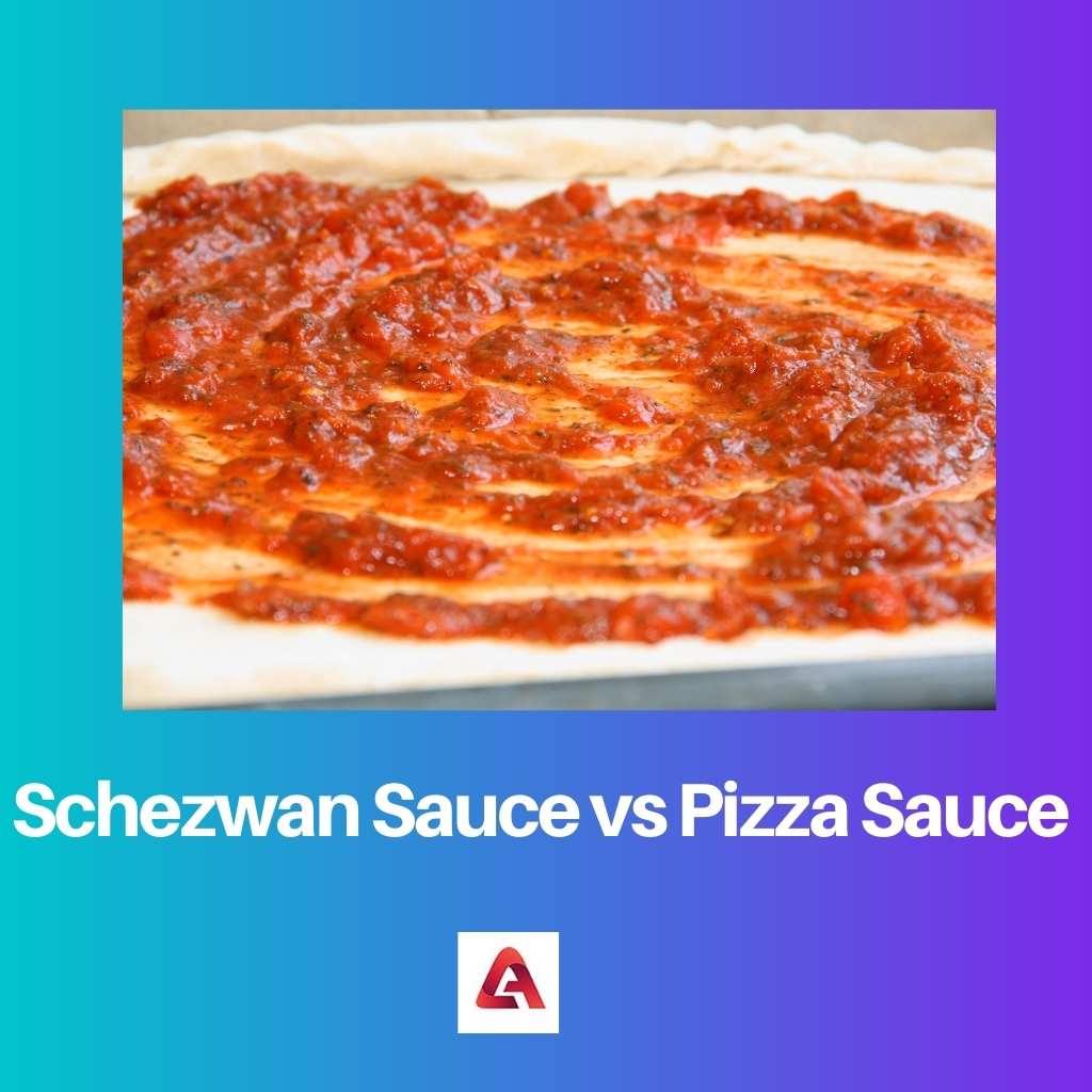 Schezwan Sauce vs Pizza Sauce
