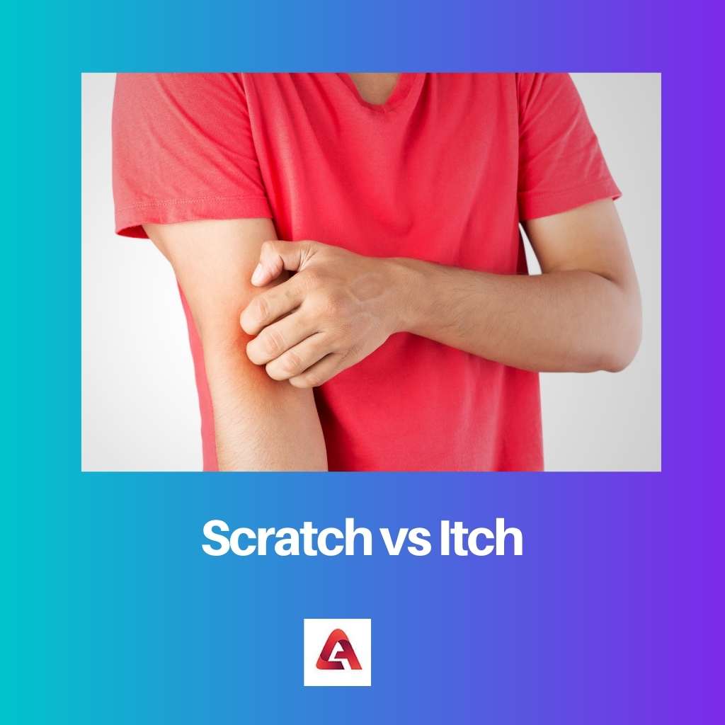 Scratch vs Itch
