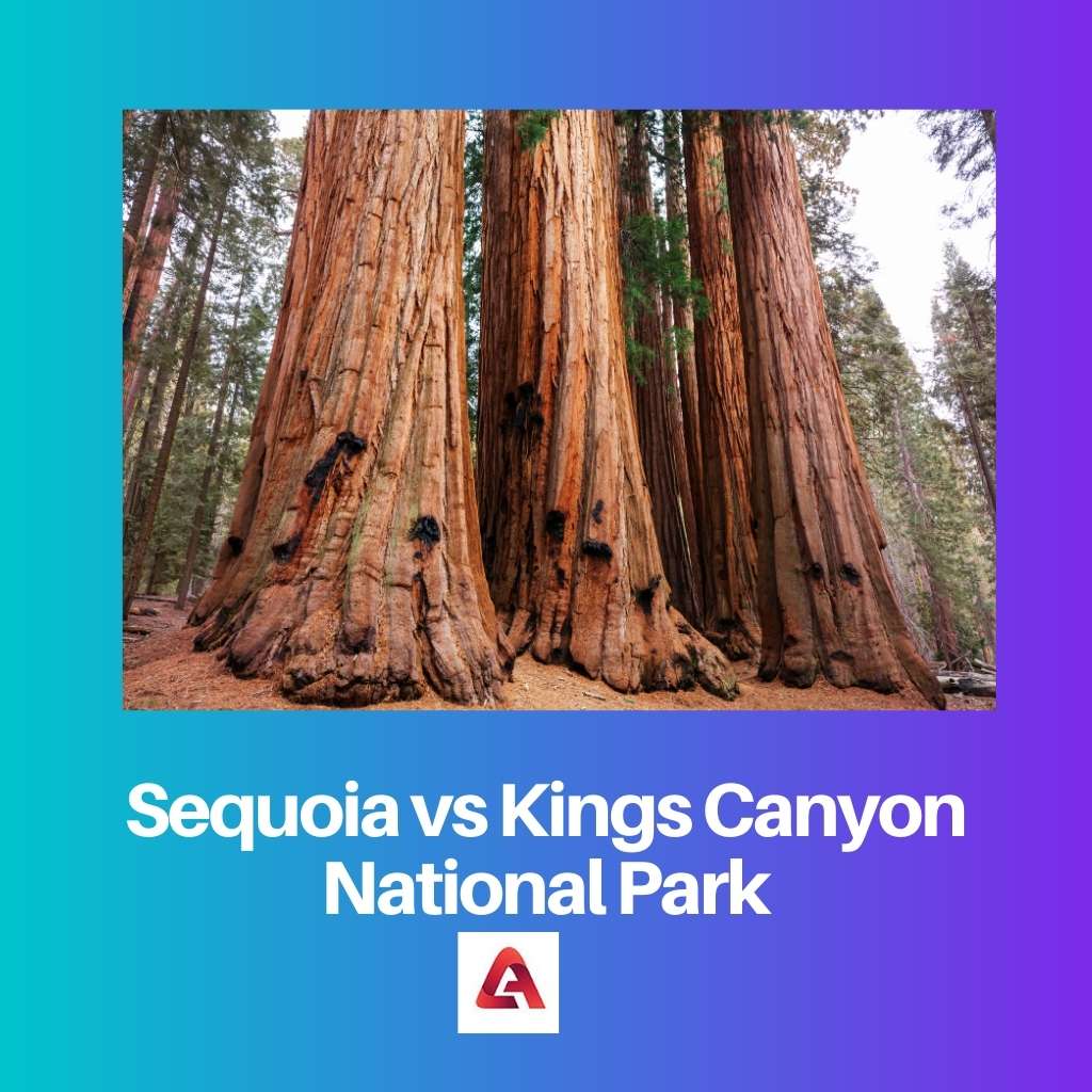 Sequoia vs Kings Canyon National Park