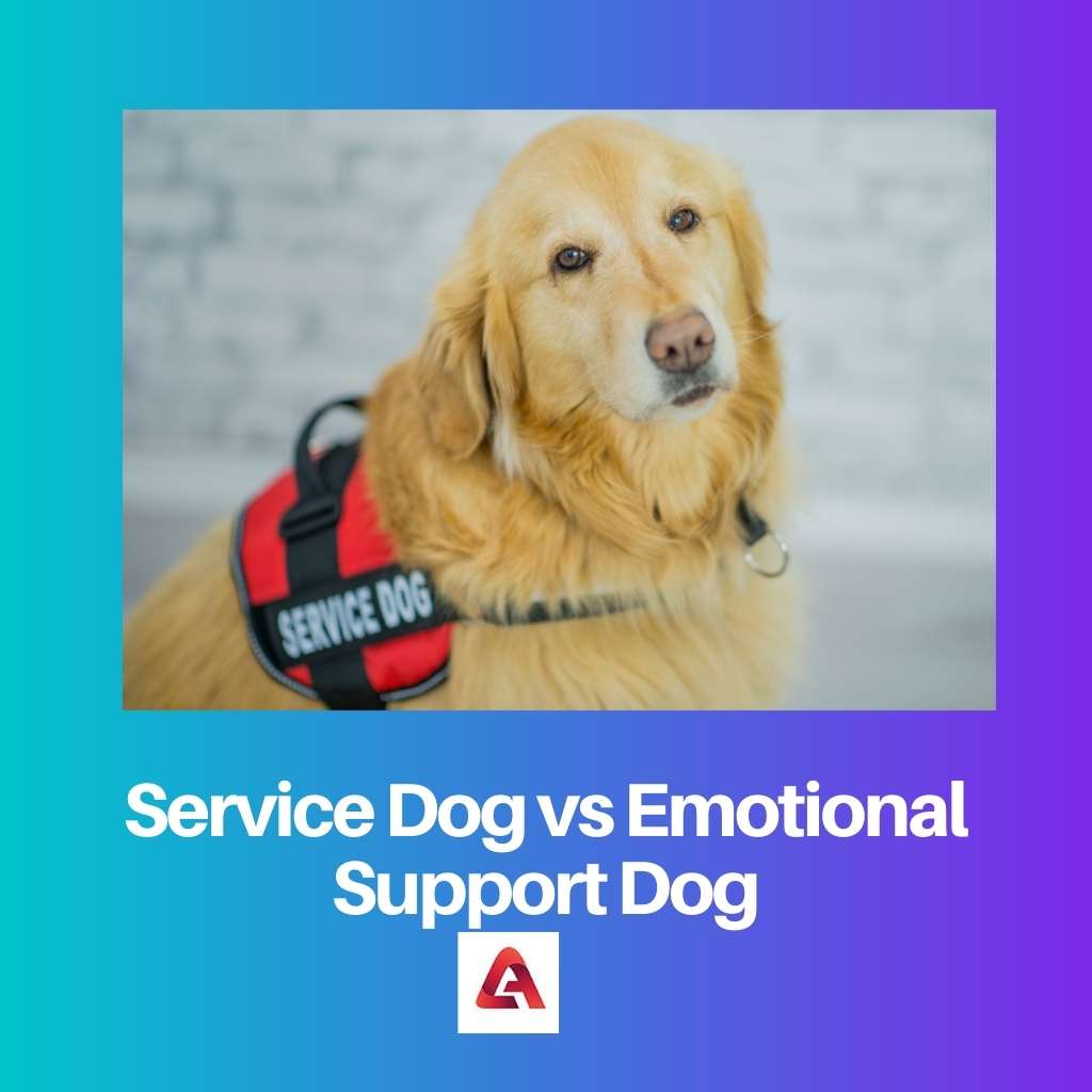 Service Dog vs Emotional Support Dog
