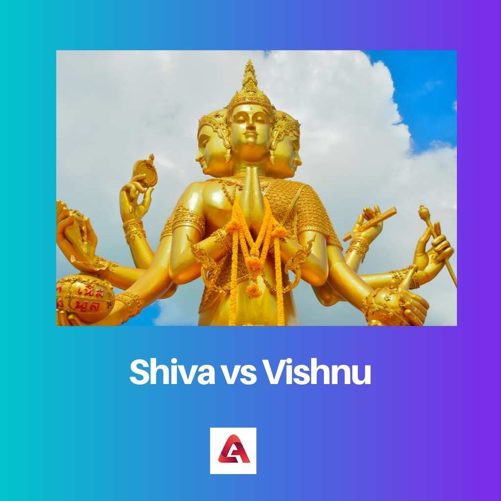Shiva vs Vishnu