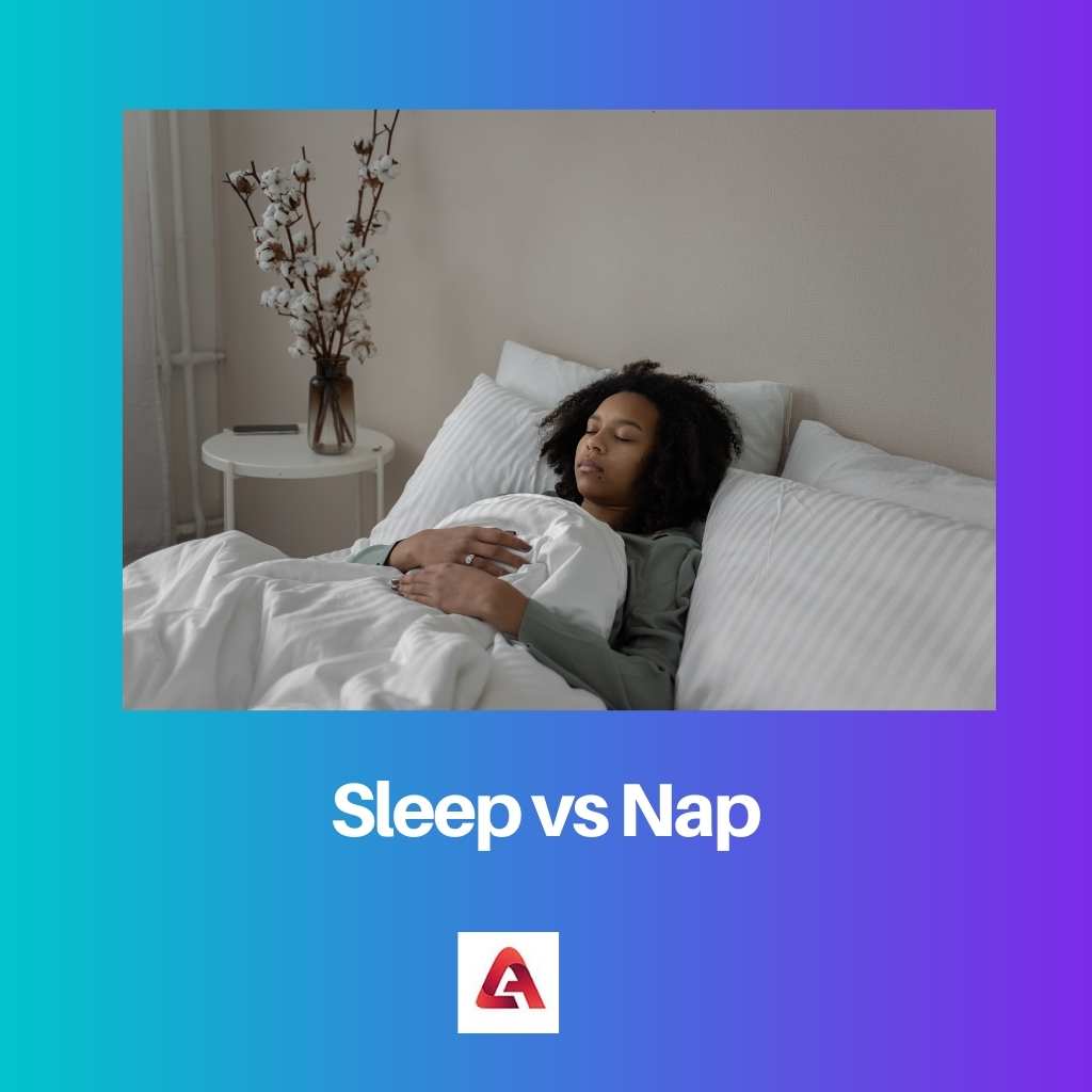 Sleep vs Nap 1