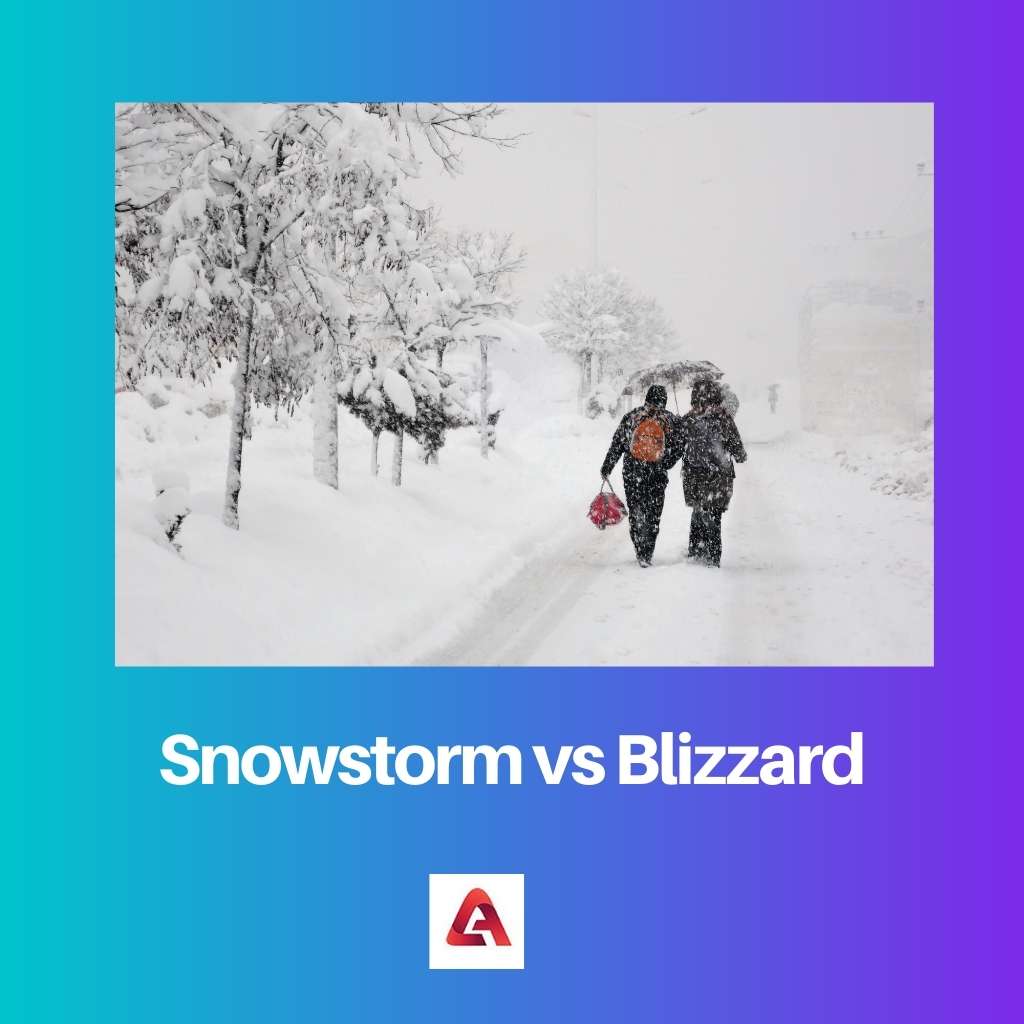 Snowstorm vs Blizzard