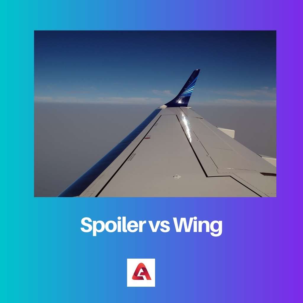 Spoiler vs Wing