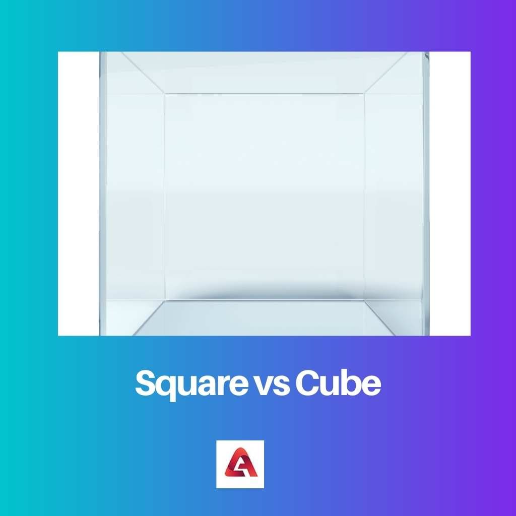 Square vs Cube
