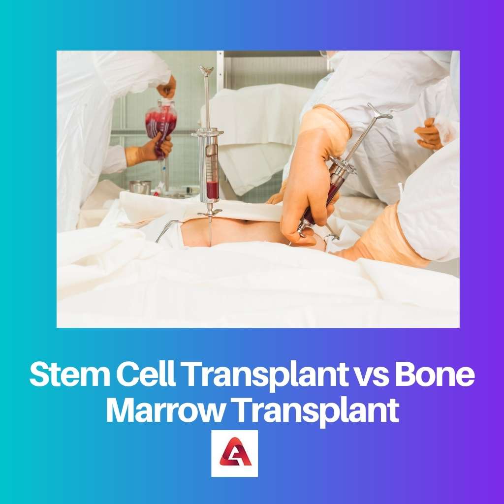 Stem Cell Transplant vs Bone Marrow Transplant