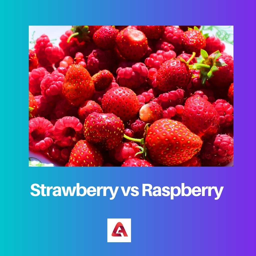 Strawberry vs Raspberry