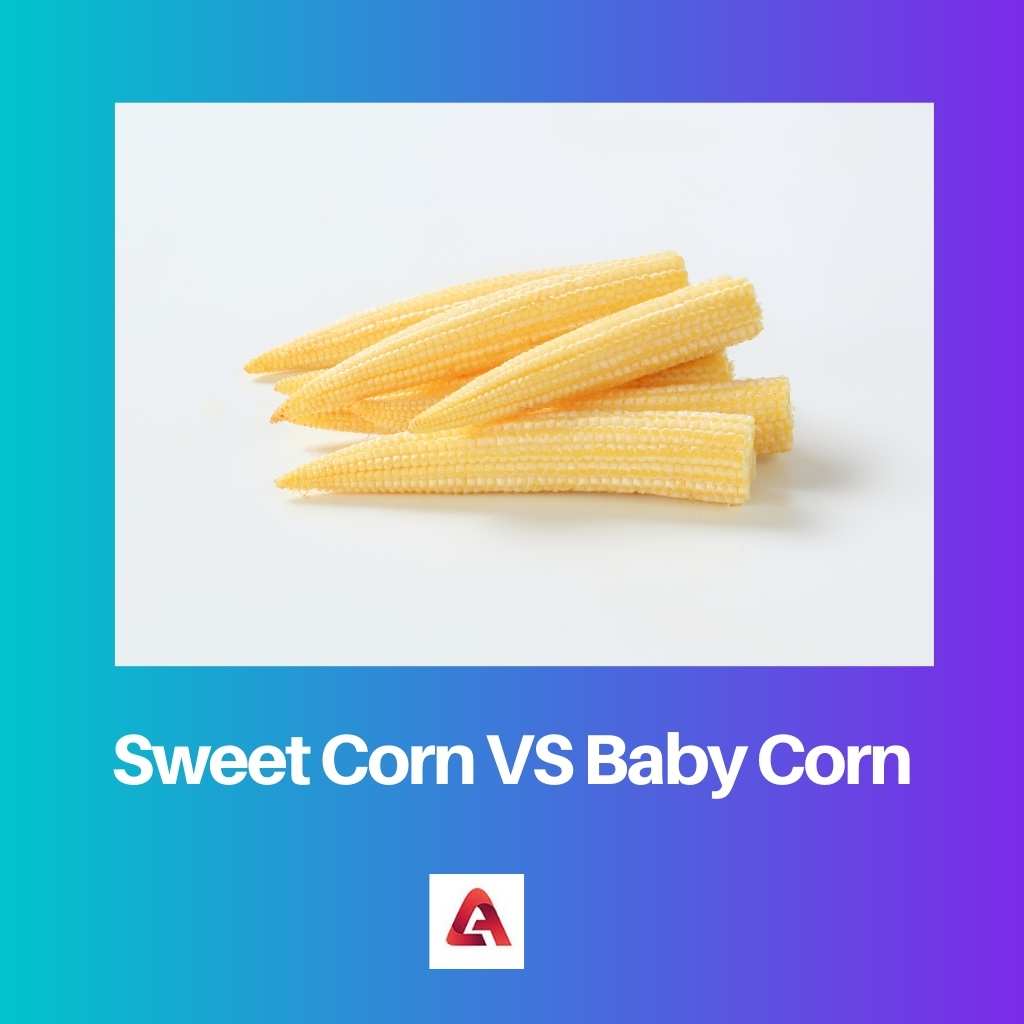 Sweet Corn VS Baby Corn