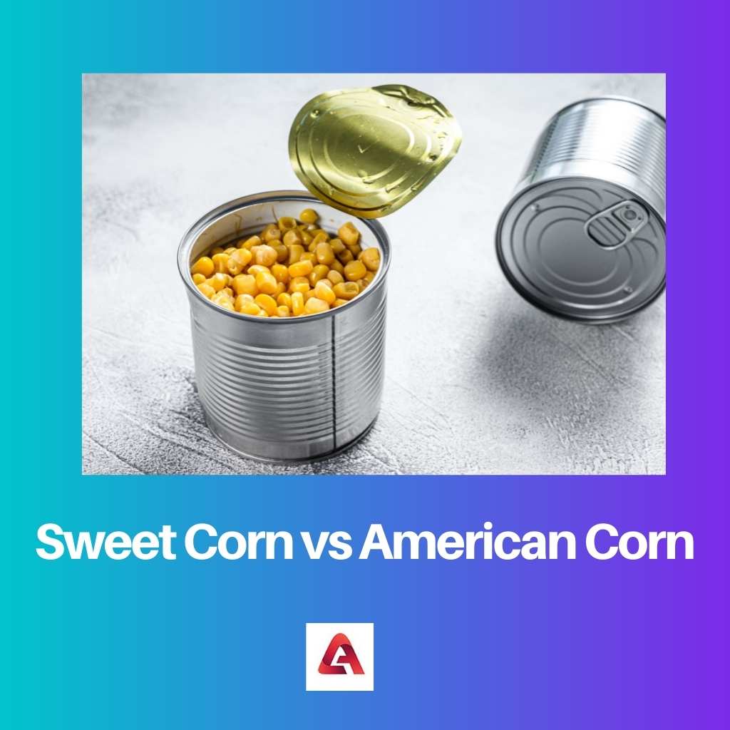 Sweet Corn vs American Corn