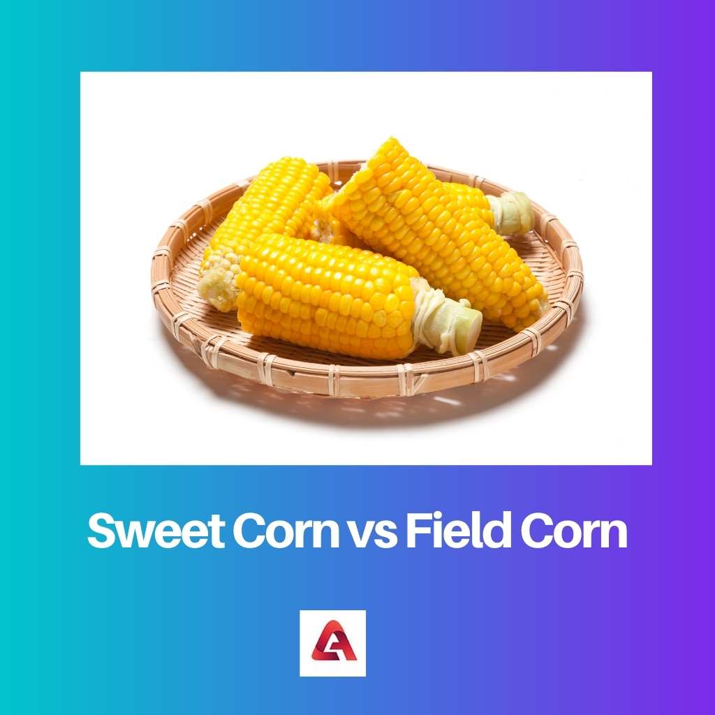 Sweet Corn vs Field Corn