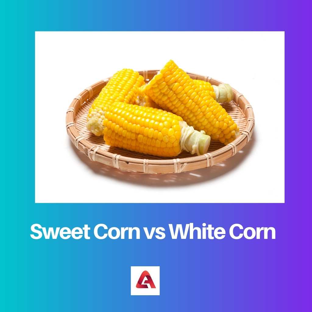 Sweet Corn vs White Corn