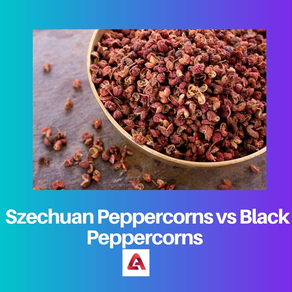 Szechuan Peppercorns vs Black Peppercorns