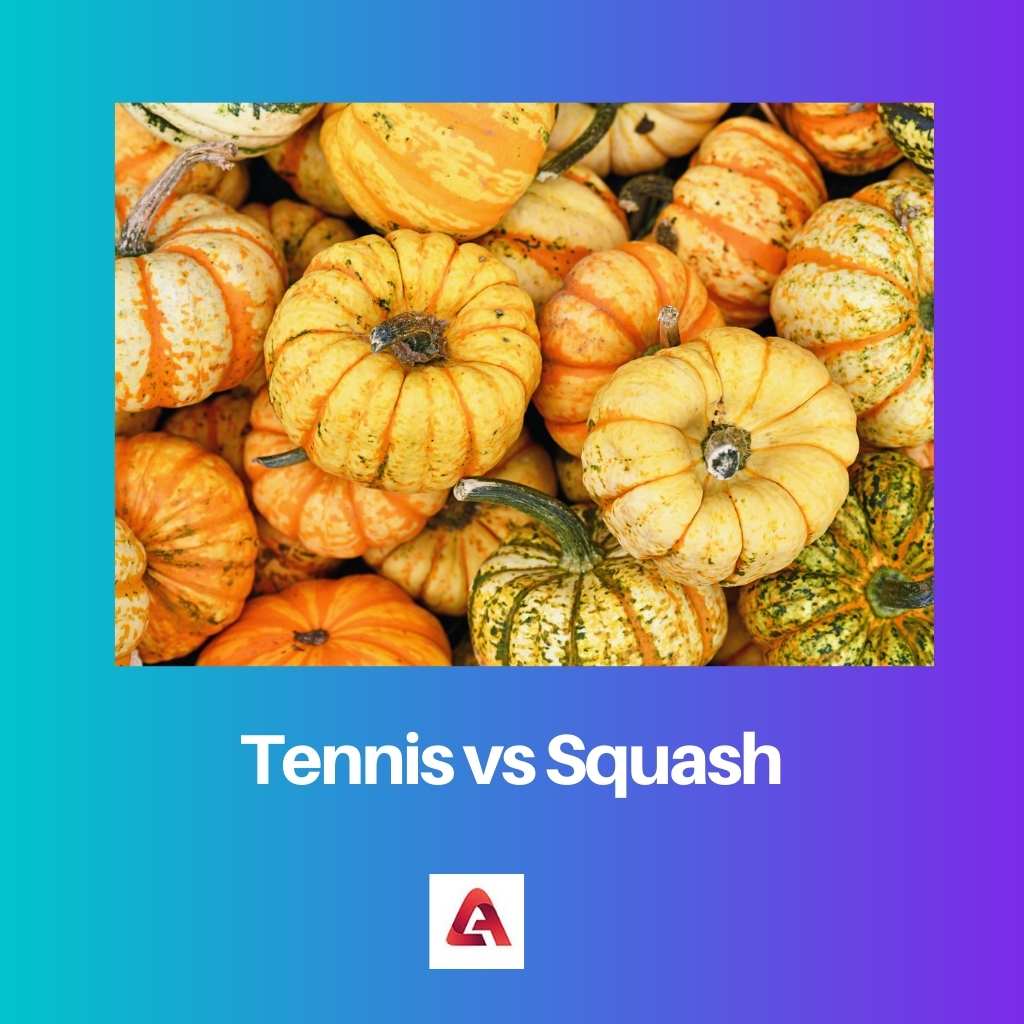 Tennis vs Squash