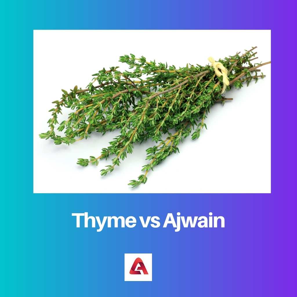 Thyme vs Ajwain