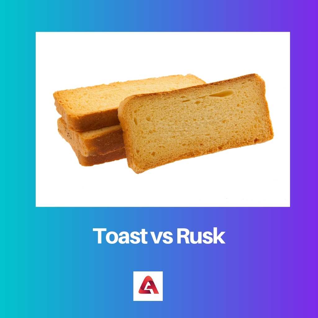 Toast vs Rusk