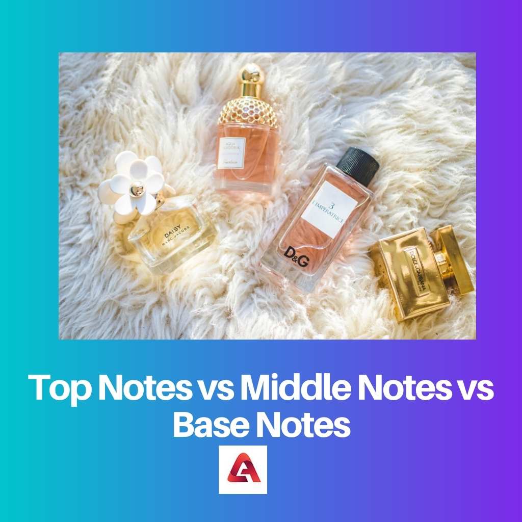 Top Notes vs Middle Notes vs Base Notes