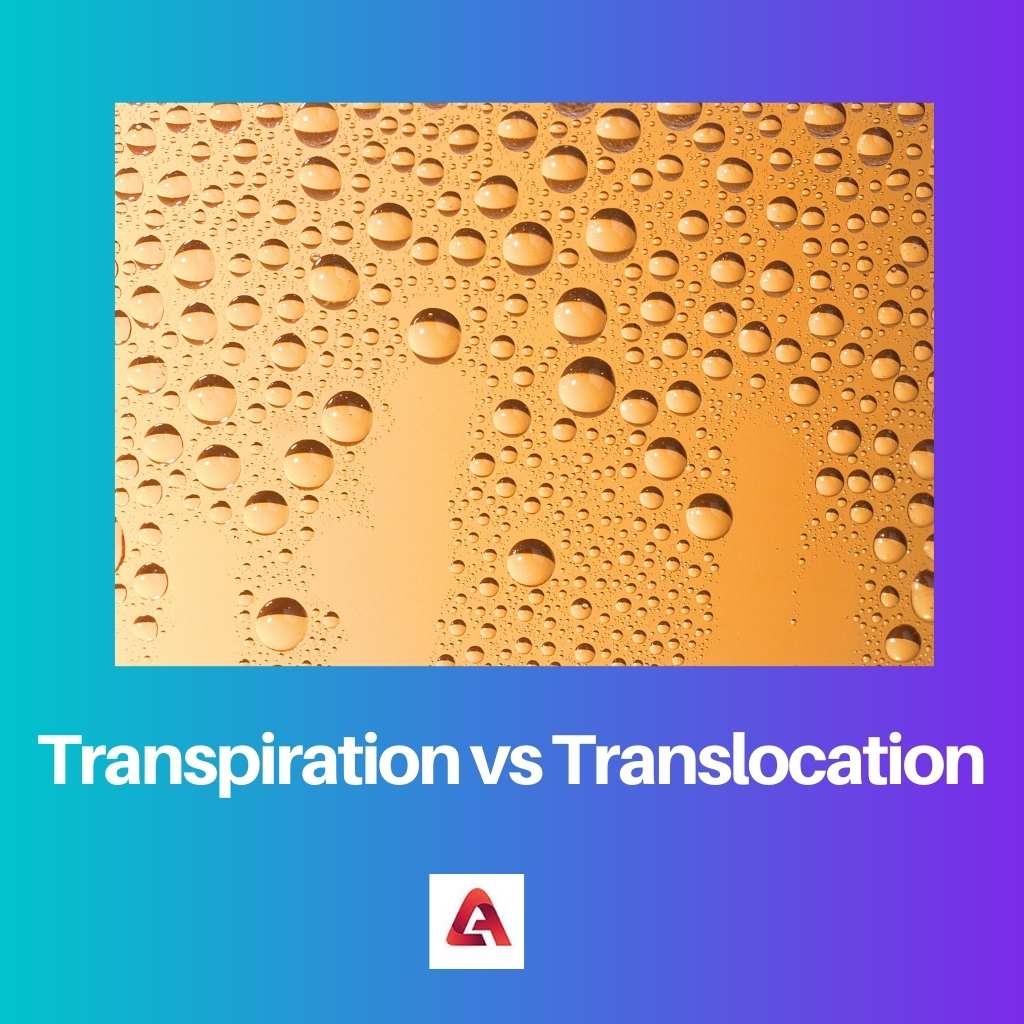 Transpiration vs Translocation